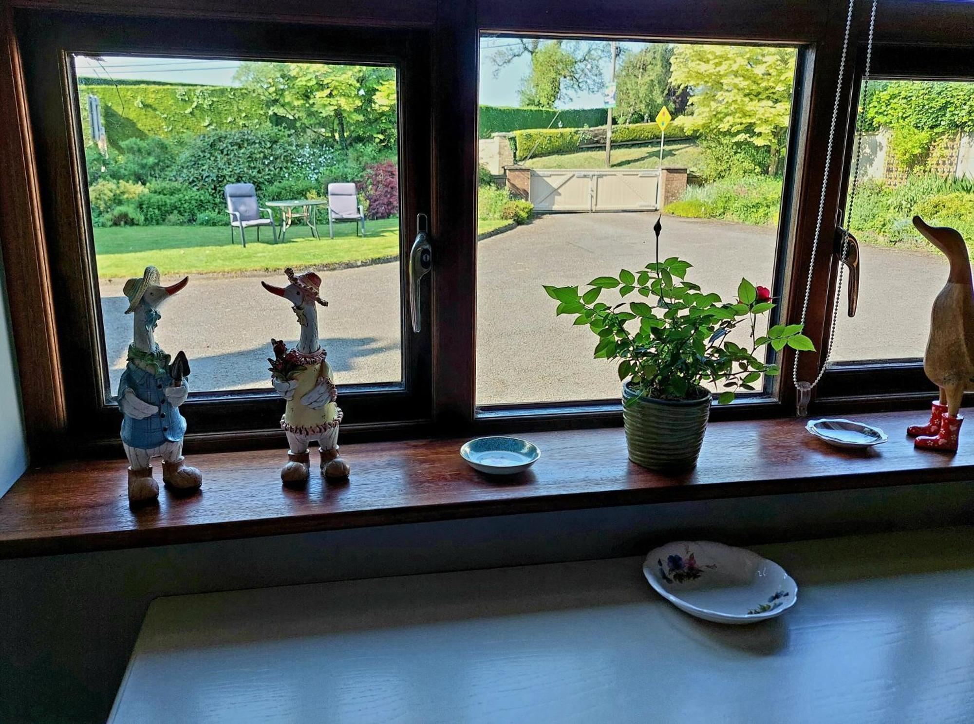 The Veterinary @ Kildare Village 외부 사진