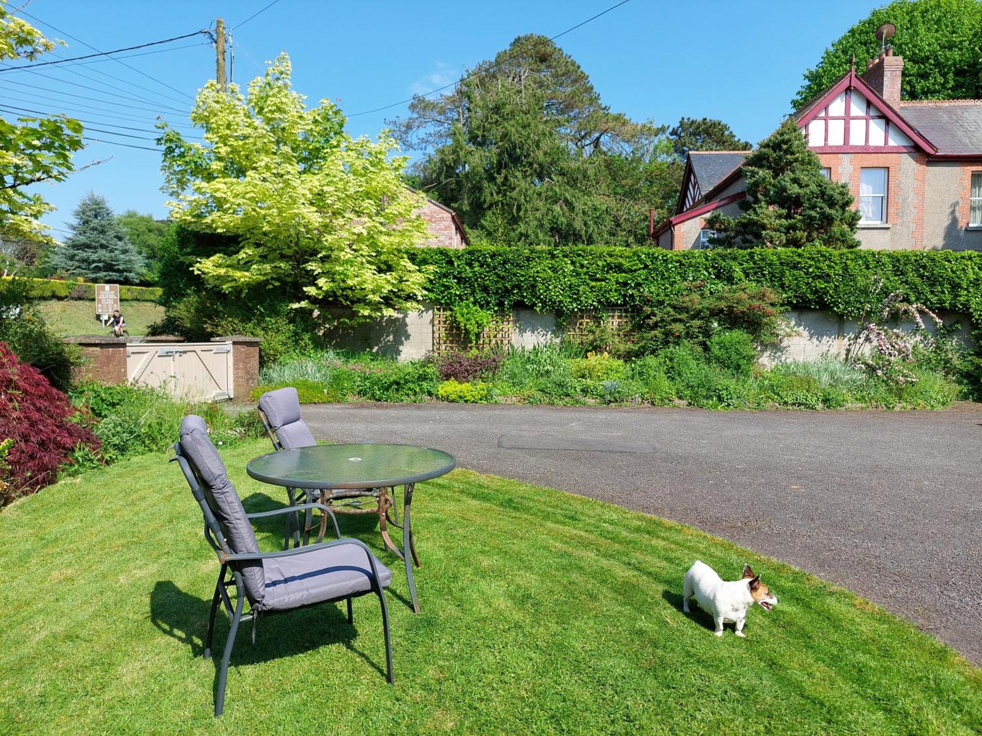 The Veterinary @ Kildare Village 외부 사진